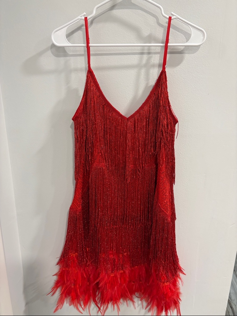 Red Fringe Feather Trim Hem Mini Dress - Gatsby 1920’s